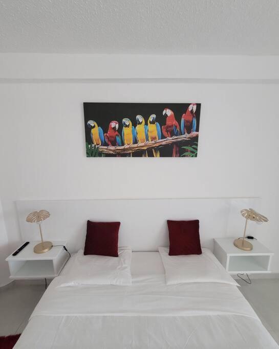 Hello Guyane, Suite Collection Cayenne Bagian luar foto