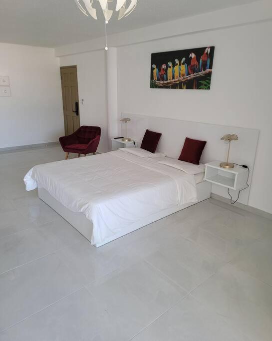 Hello Guyane, Suite Collection Cayenne Bagian luar foto