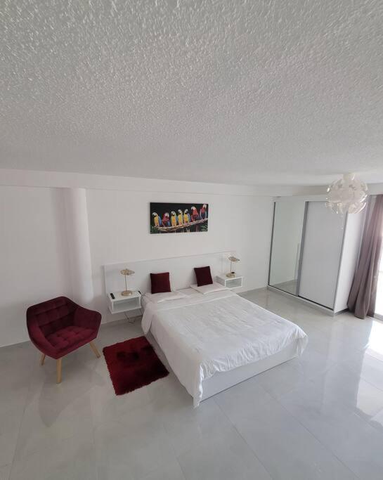 Hello Guyane, Suite Collection Cayenne Bagian luar foto